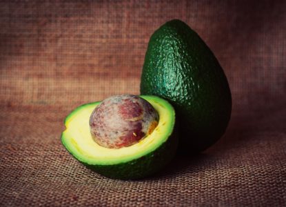 Vegan studies