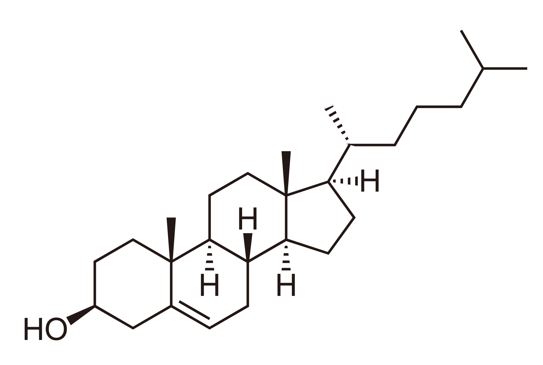 Cholesterol, heart health, and your what you need to know