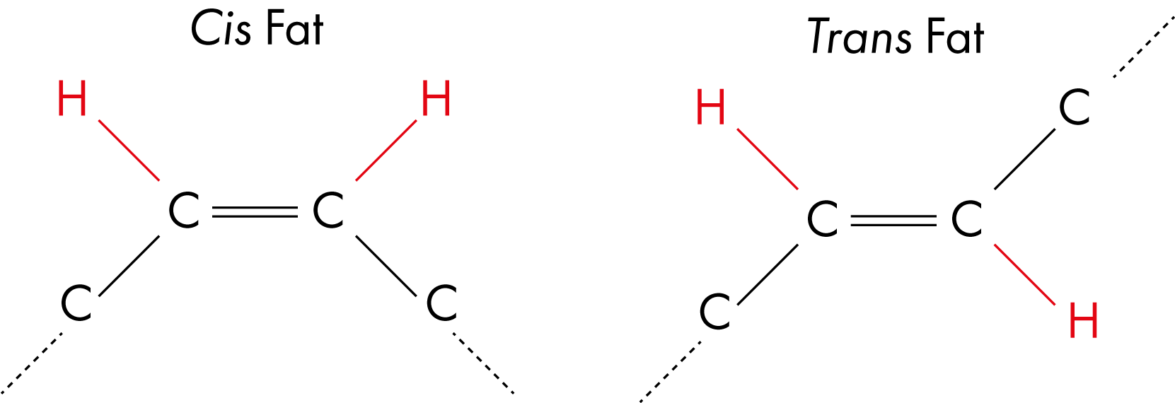 Cholesterol, heart health, and your what you need to know Gene Food