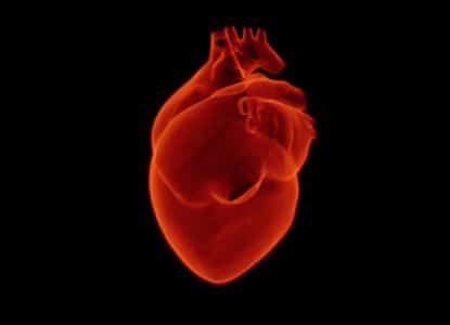 Heart Health Cholesterol Genetics