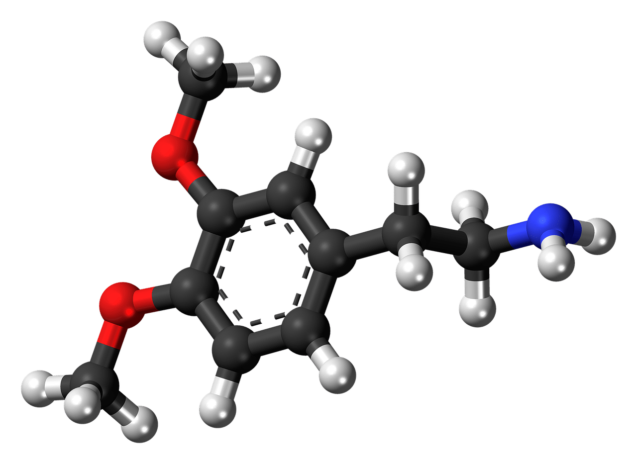 What is Tetrahydrobiopterin (BH4) and how can I make more of it? - Gene ...