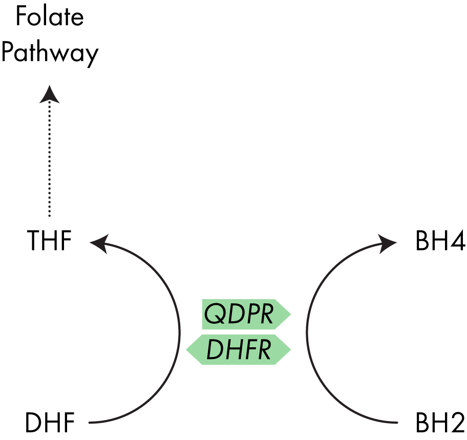 Figure-3.png