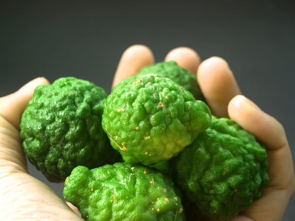 What is bergamot 63 What is bergamot 89