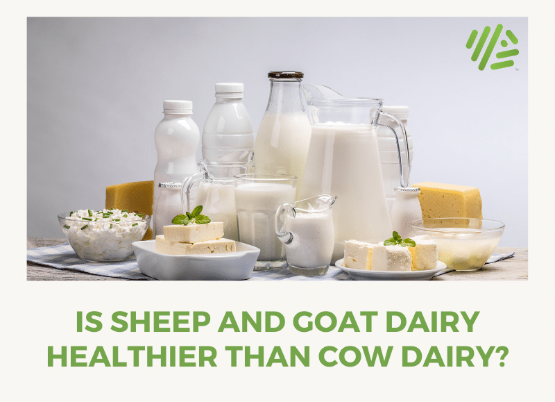 Goat milk versus cow milk: A comparison - Sheep & Goats