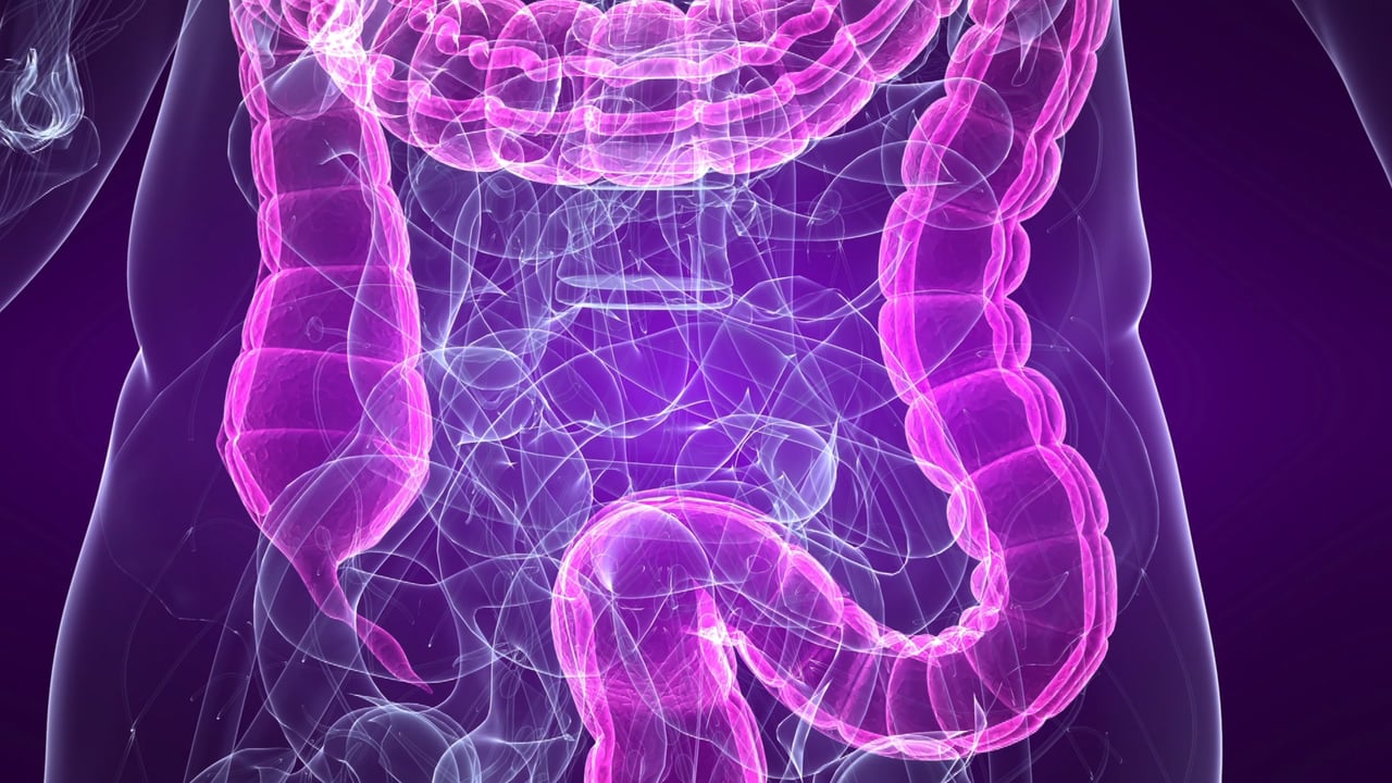 How Zonulin Causes Leaky Gut and Autoimmunity - Gene Food