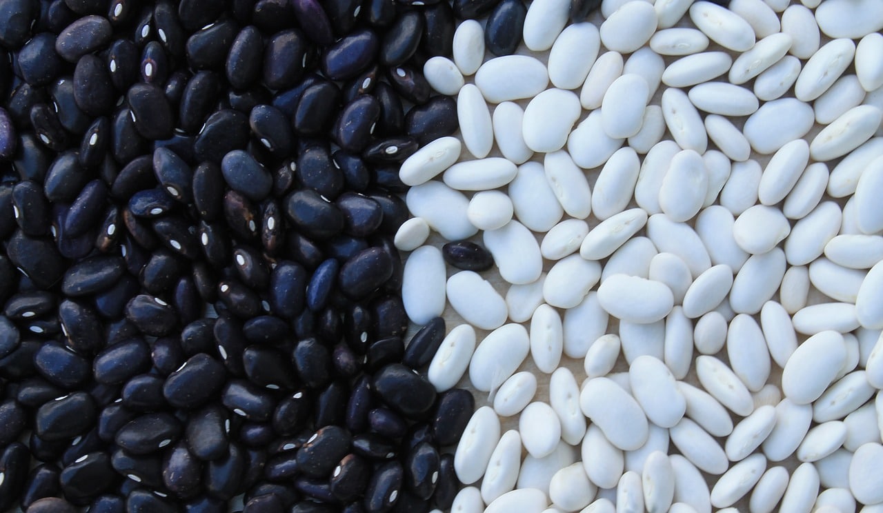 What S In A Bean Lots Of Health Benefits Gene Food