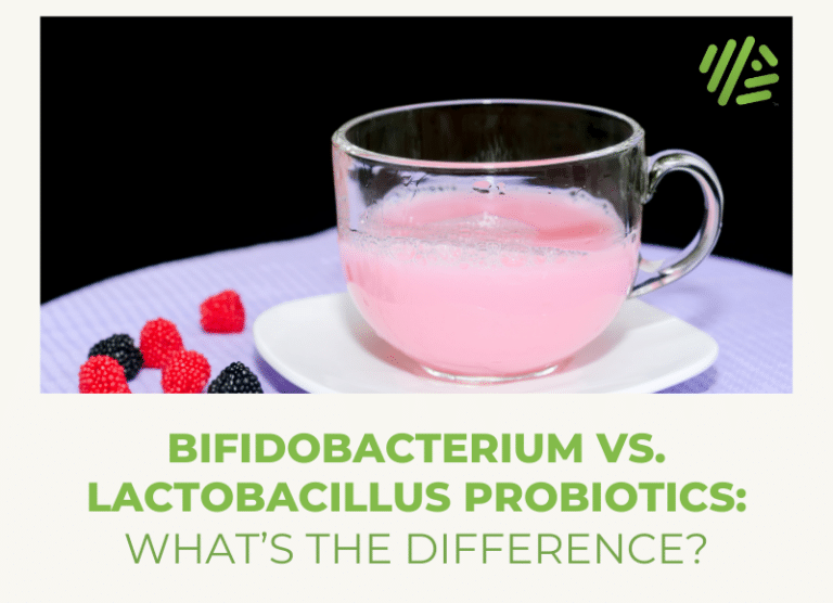 Understanding probiotics Bifidobacterium vs Lactobacillus Gene Food