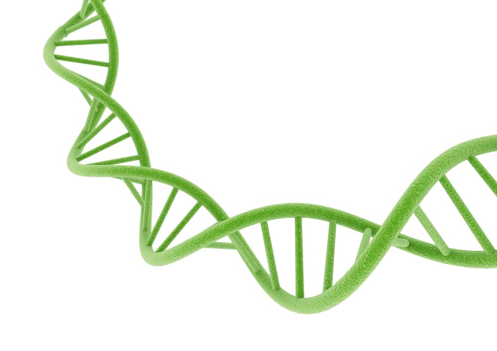 Genetic testing