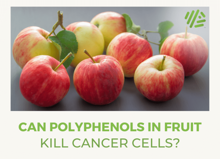 Can Polyphenols in Fruit Kill Cancer Cells? Gene Food