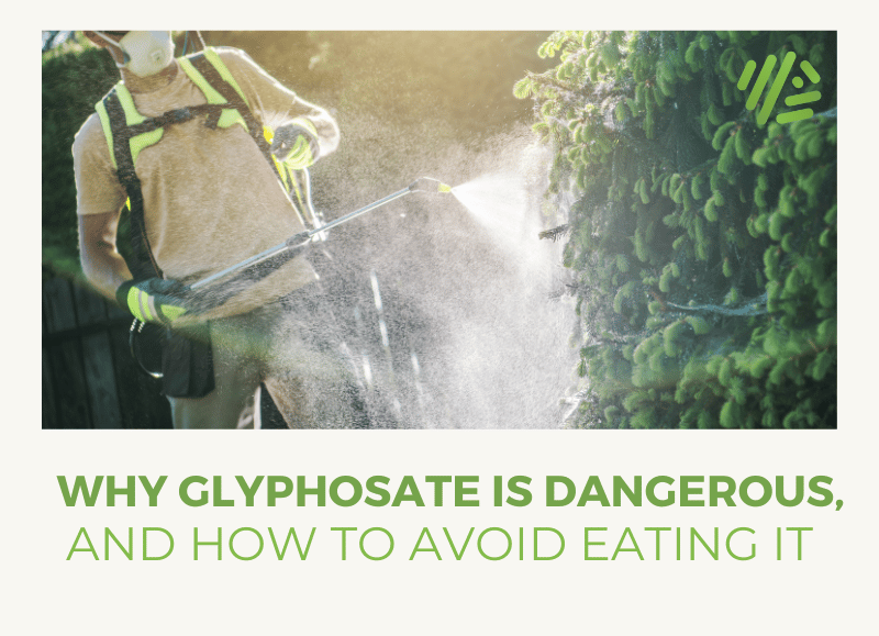 Why Glyphosate is Dangerous, and How to Avoid Eating it
