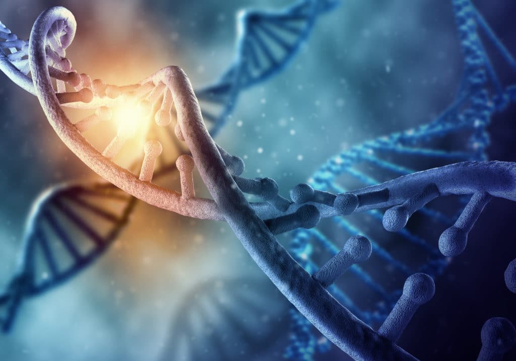 What is methylation