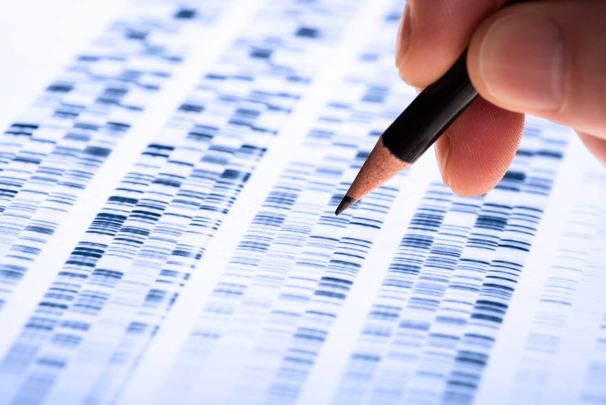 gene food