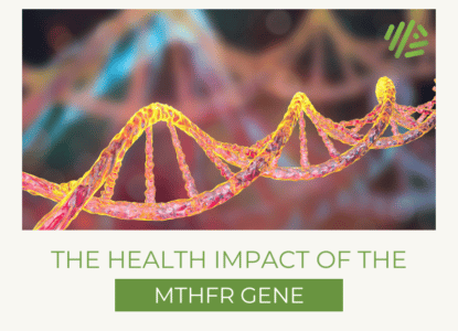 The Health Impact of the MTHFR Gene