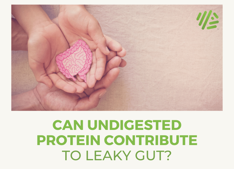 Can Undigested Protein Contribute to Leaky Gut?
