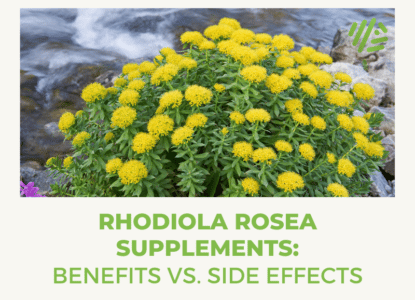 Rhodiola Rosea Supplements: Benefits vs. Side Effects