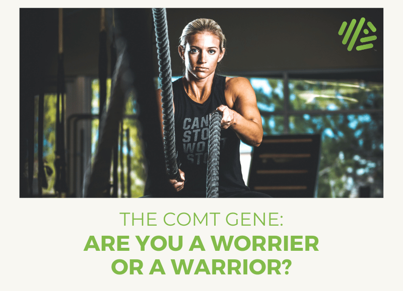 The COMT Gene: Are You a Worrier or a Warrior?
