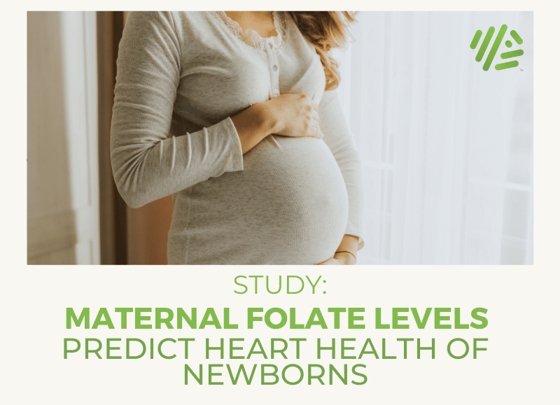 Study: Maternal Folate Levels Predict Heart Health of Newborns